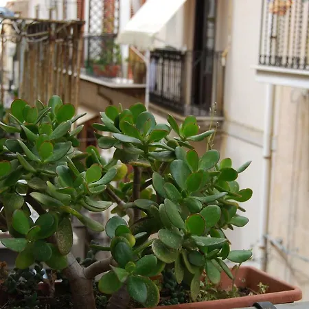 Casa Rubino Апартаменты